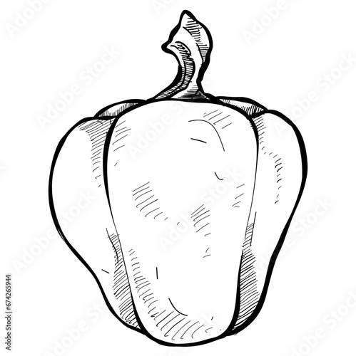 paprika handdrawn illustration