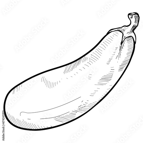 eggplant handdrawn illustration