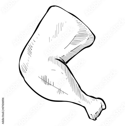 chicken thighs handdrawn illustration