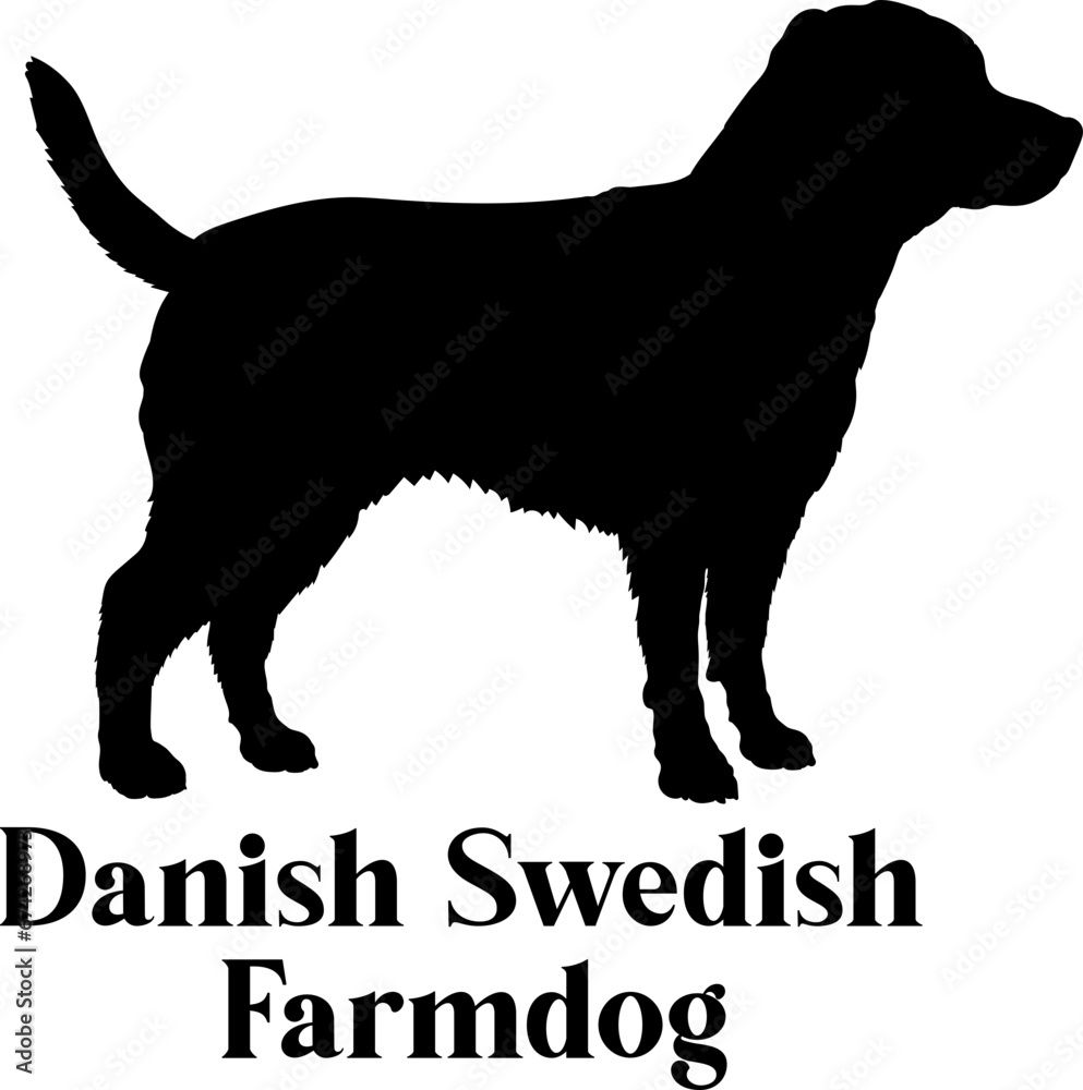 Danish Swedish Farmdog Dog silhouette dog breeds logo dog monogram logo dog face vector
SVG PNG EPS Danish Swedish Farmdog Dog silhouette dog breeds logo dog monogram logo dog face vector
SVG PNG EPS