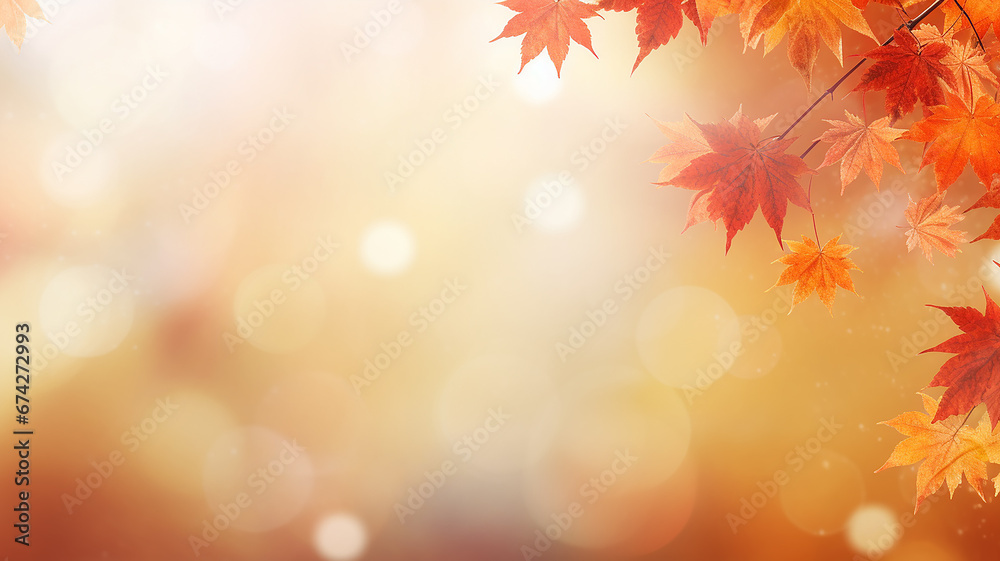 maple leaves on abstract blurred background with bokeh copy space, light bright autumn background for text maple leaves on abstract blurred background with bokeh copy space, light bright autumn background for text