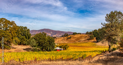 Hope Valley with vineyards and barn.