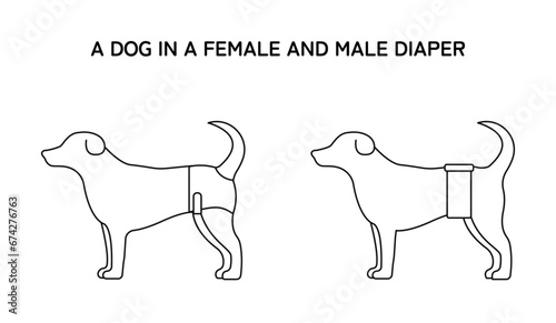 An icon of a dog in a dog female and male diaper / wrap. Vector line style design.  (ID: 674276763)