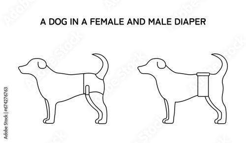 An icon of a dog in a dog female and male diaper / wrap. Vector line style design. 