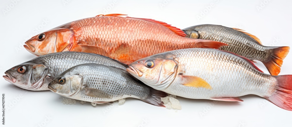 Background for food preparation is the provision of newly caught seafood Background for food preparation is the provision of newly caught seafood