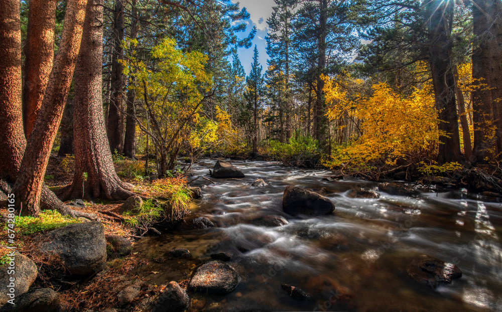 Rock Creek in Eastern Sierra with autumn trees and flowing water.