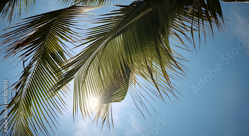 palm tree on sky background ai generative
