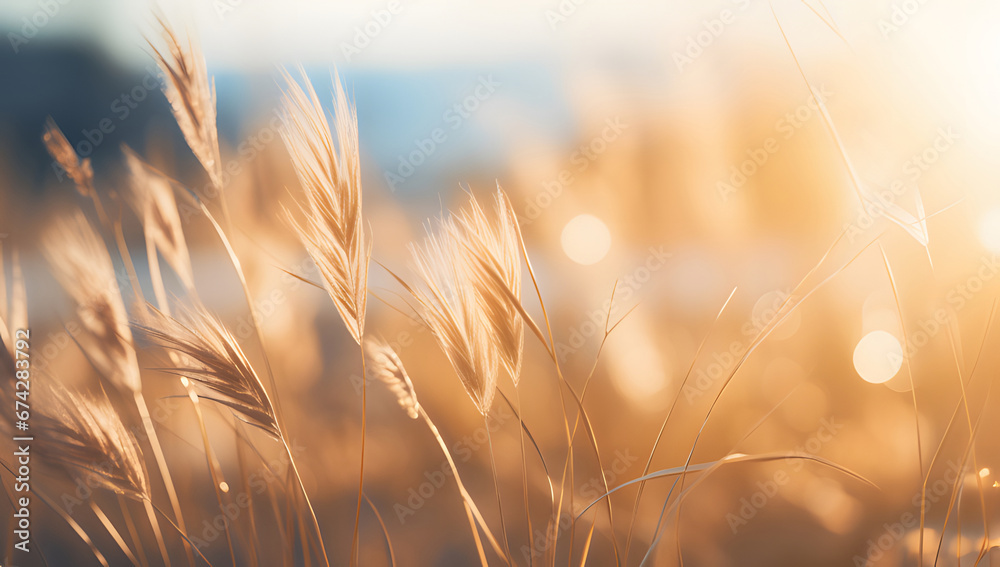 golden wheat field at sunset ai generative