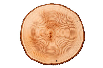 Top view of circular wood piece with annual ring isolated on white background
