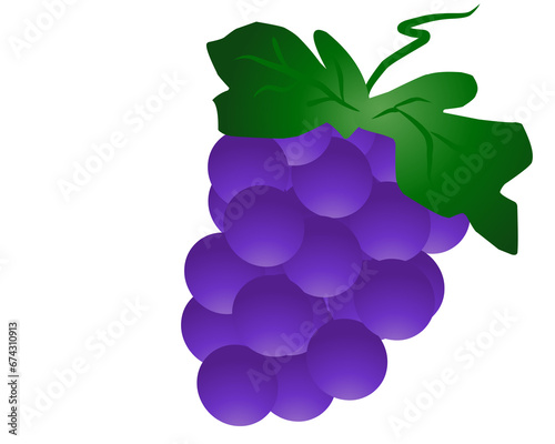 Illustration of purple grapes png transparent 
