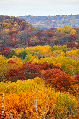 Beautiful fall trees turning vivid colors on a perfect autumn day over a river valley on the border between Minnesota and Wisconsin © Jill Greer