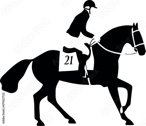 animal racing horse with competitor
