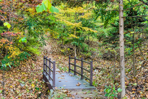 Wooden footbridge over ravine in mountain park.