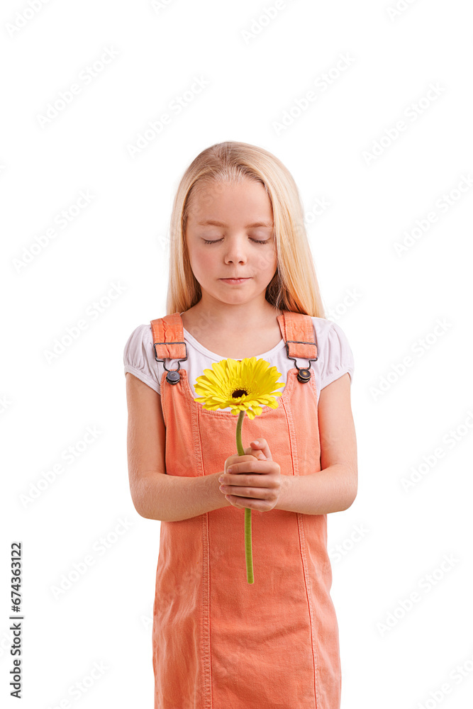 Fashion, casual and girl kid with flower for surprise, gift or present for love or valentines day. Cute, model and young child or person with pink floral plant isolated by transparent png background