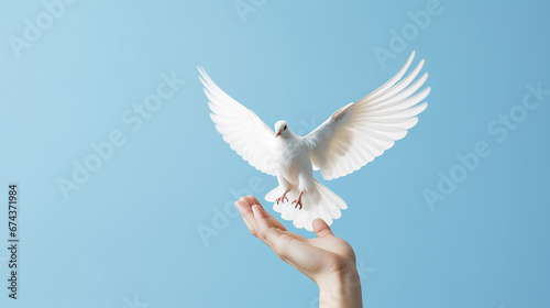 The concept of the dove of peace. Symbol of freedom and international day of peace.