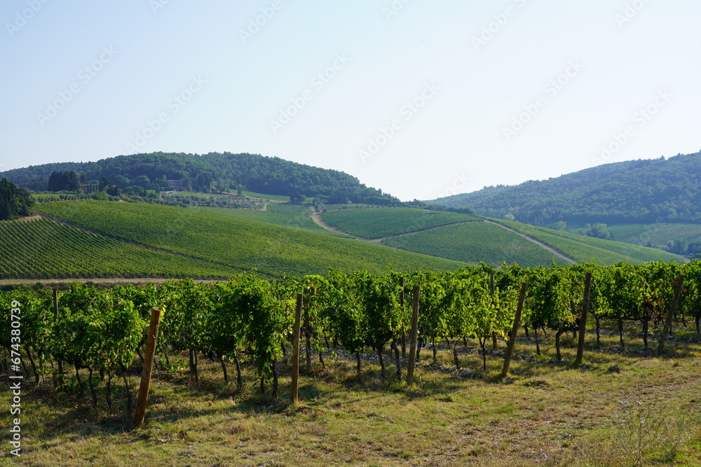 Tenuta Tignanello nel Chianti Classico della Famiglia Antinori