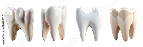Set of elegant and shiny tooth isolated on a transparent or white background photo