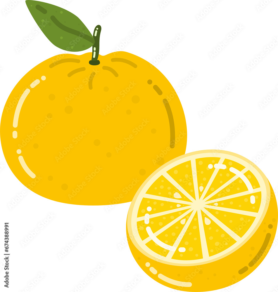 Yuzu Fruit Illustration Yuzu Fruit Illustration