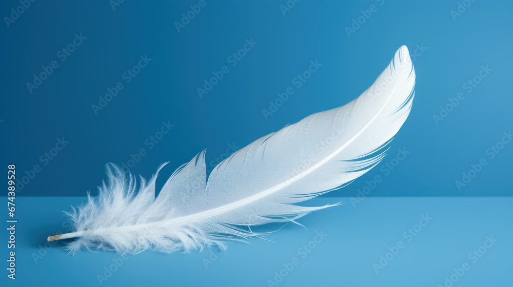 Obraz premium white bird feather on blue background