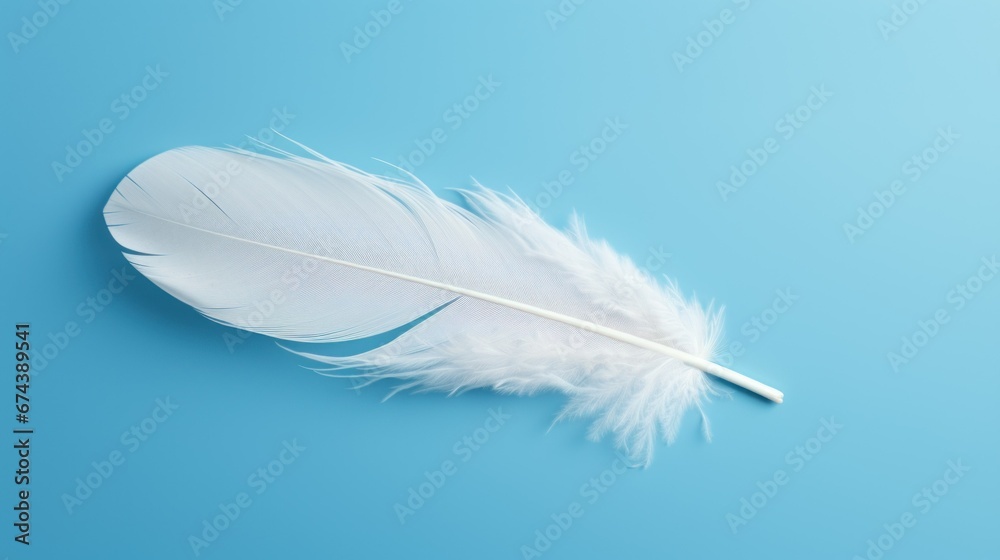 Obraz premium white bird feather on blue background