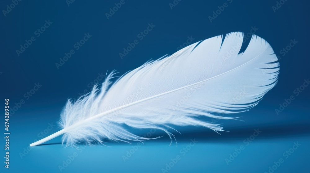 Obraz premium white bird feather on blue background