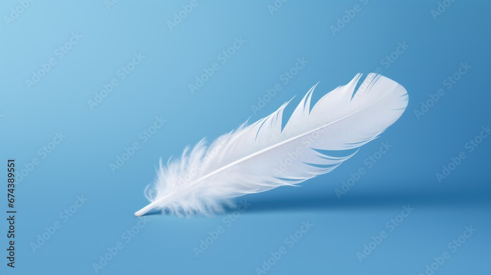 Obraz premium white bird feather on blue background