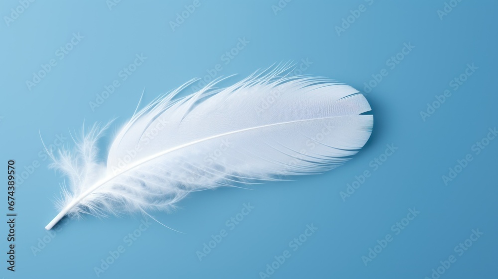 Fototapeta premium white bird feather on blue background