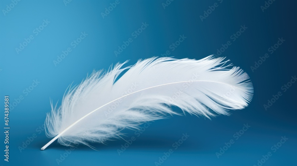 Fototapeta premium white bird feather on blue background