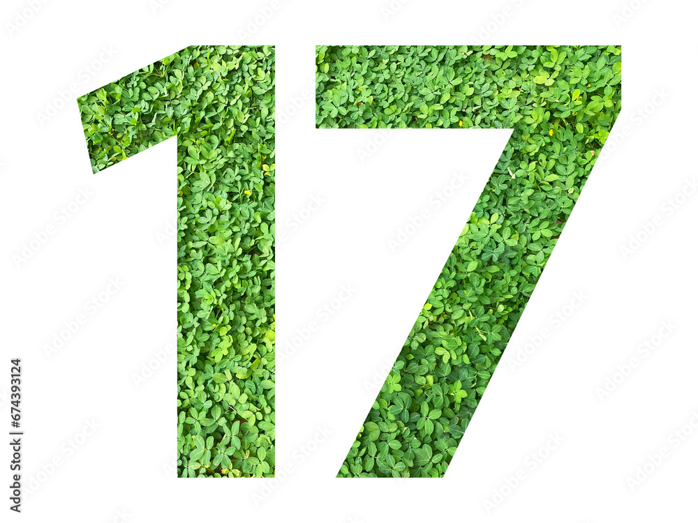 The shape of the number 17 is made of green grass isolated on transparent background. Go green concept. The shape of the number 17 is made of green grass isolated on transparent background. Go green concept.