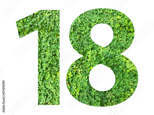 The shape of the number 18 is made of green grass isolated on transparent background. Go green concept.