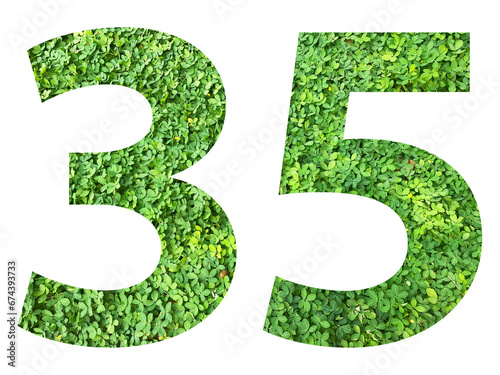The shape of the number 35 is made of green grass isolated on transparent background. Go green concept.