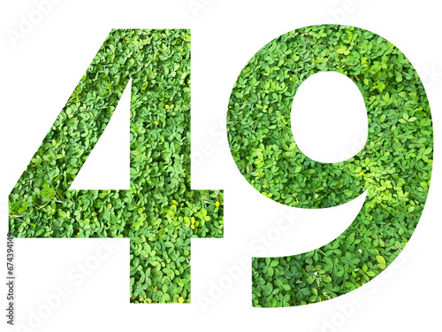 The shape of the number 49 is made of green grass isolated on transparent background. Go green concept.