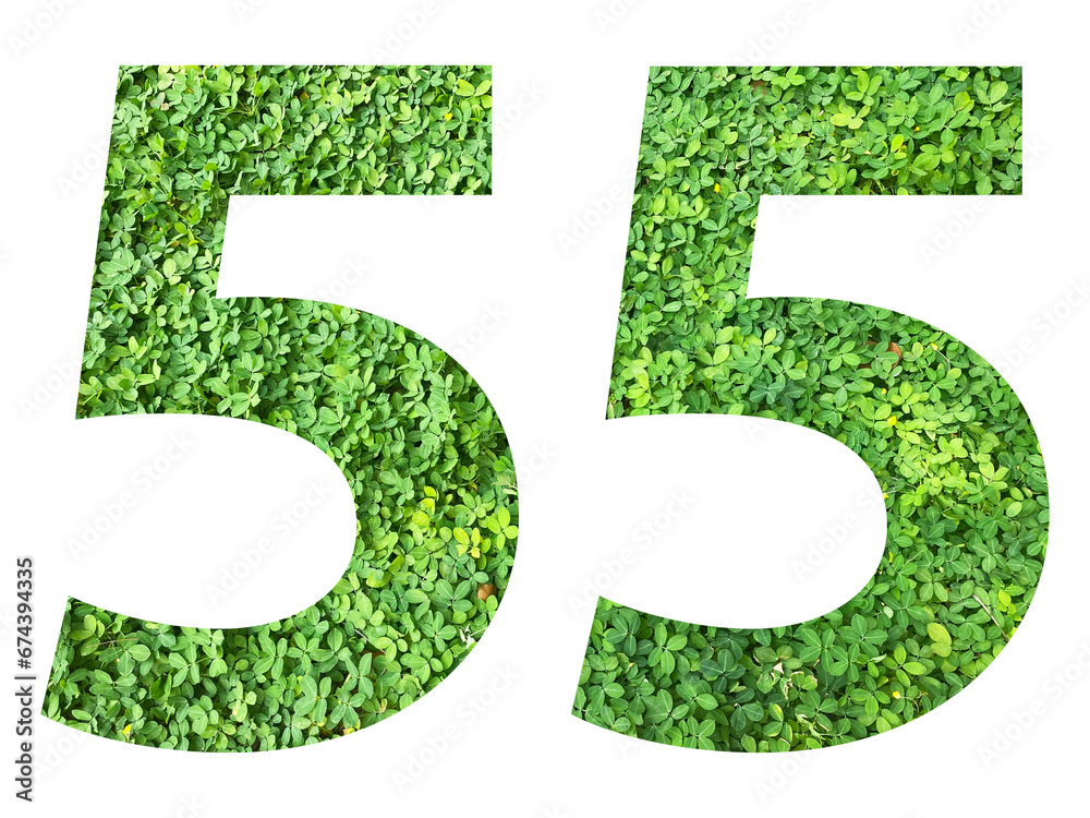 The shape of the number 55 is made of green grass isolated on transparent background. Go green concept. The shape of the number 55 is made of green grass isolated on transparent background. Go green concept.