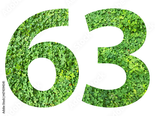 The shape of the number 63 is made of green grass isolated on transparent background. Go green concept.