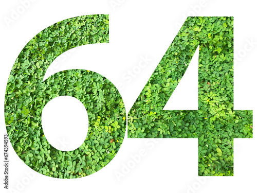The shape of the number 64 is made of green grass isolated on transparent background. Go green concept.