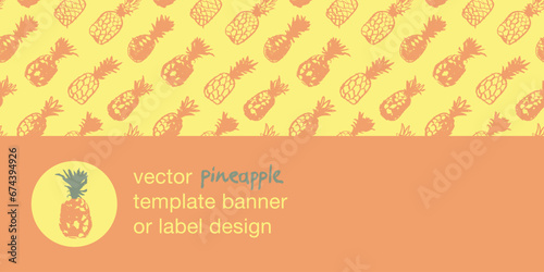 Vector seamless pattern with color hand drawn pineapple ornament. Healthy food idea banner template design. Organic ananas label template. Fruit and berries doodles for natural cosmetic design.