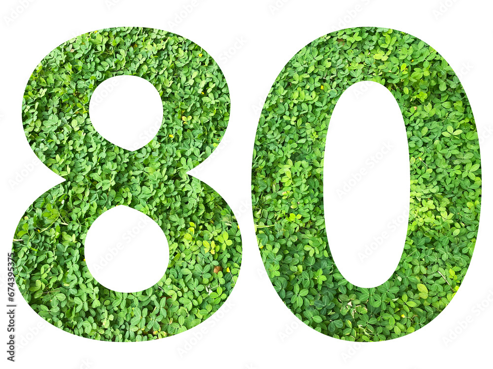 The shape of the number 80 is made of green grass isolated on transparent background. Go green concept. The shape of the number 80 is made of green grass isolated on transparent background. Go green concept.