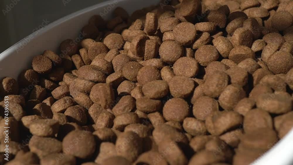 Dry pet food falls into storage container Dry pet food falls into storage container