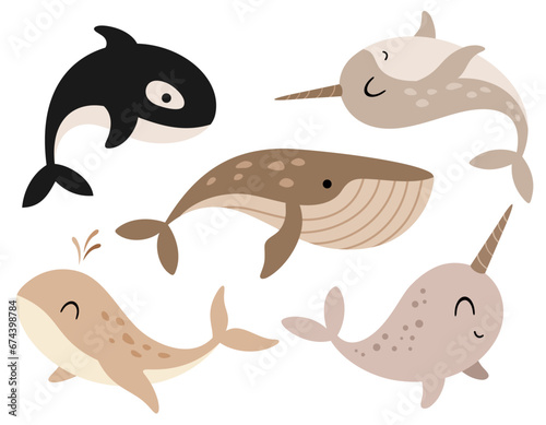 Arctic clipart with whale, narwhal, killer whale in cartoon flat style. Vector illustration