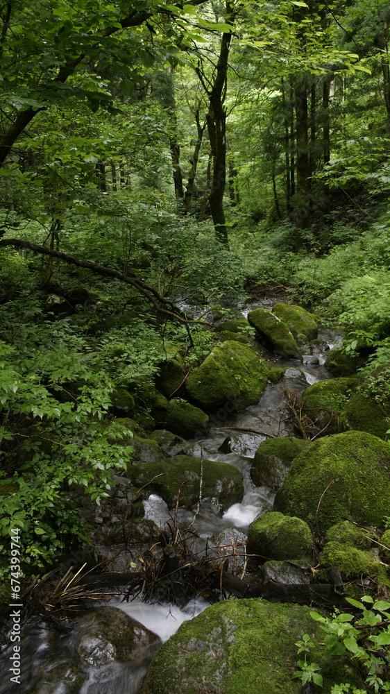 mountain stream mountain stream