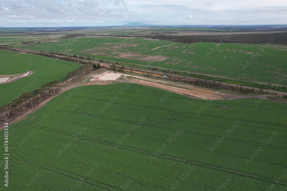 Agricultural crop in a field from above in Gairdner, Western Australia