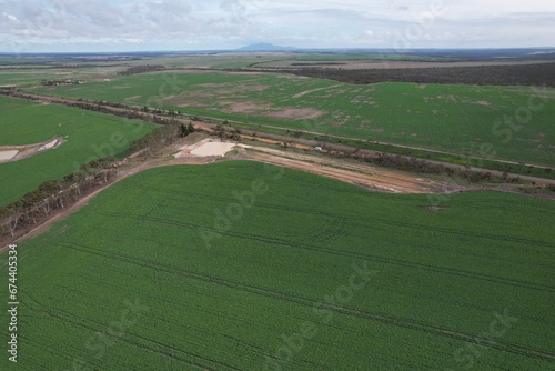 Agricultural crop in a field from above in Gairdner, Western Australia photo