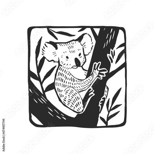 Vector hand-drawn illustration of a koala in nature. A framed sketch with a wild Australian animal.