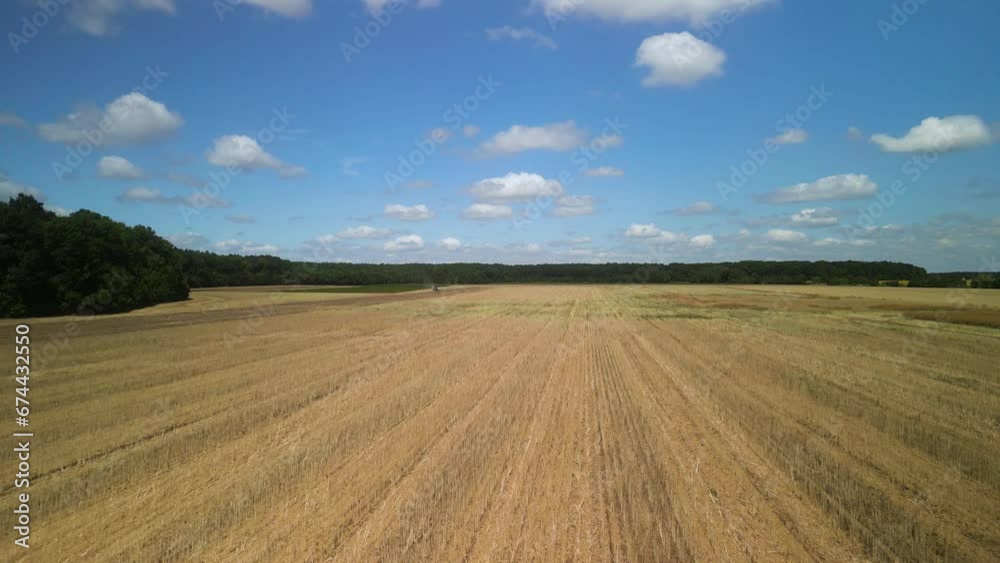 Canola field aerial view in Ukraine Canola field aerial view in Ukraine