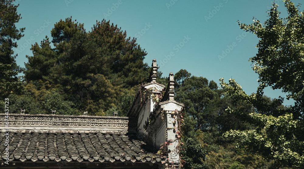 Fototapeta premium building