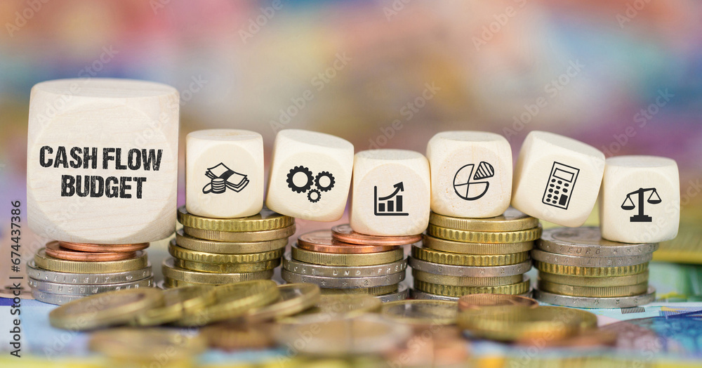 Cash Flow Budget Cash Flow Budget