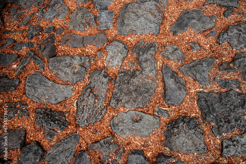 textures roches et feuilles photo
