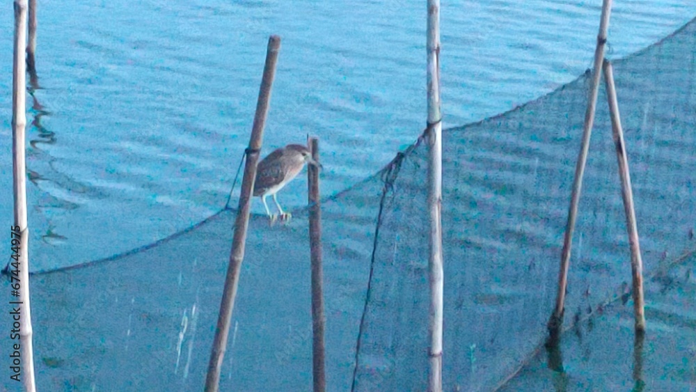 Obraz premium Dampalit, Malabon dike