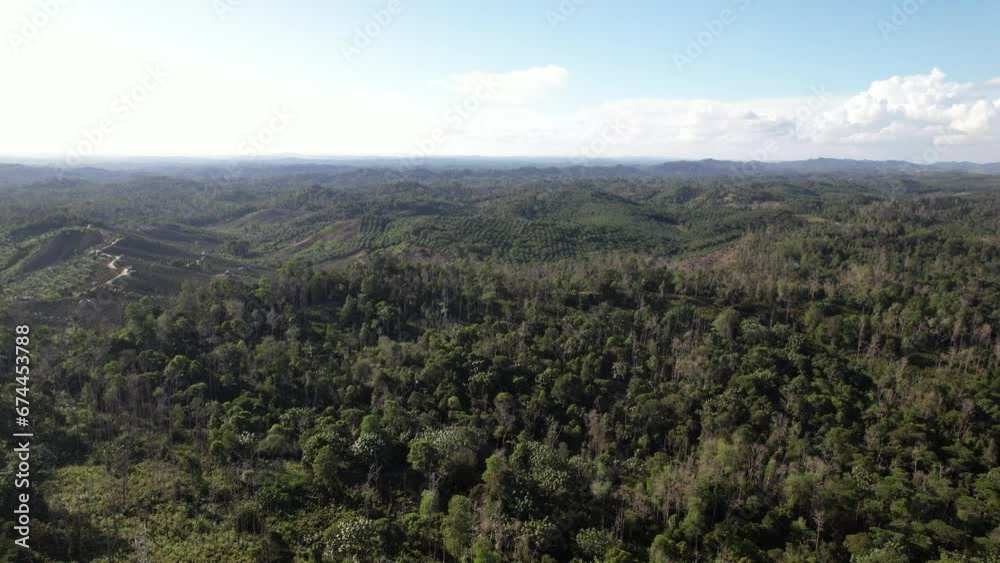 Cinematic aerial view of mountains, sky and forests in Kalimantan Cinematic aerial view of mountains, sky and forests in Kalimantan