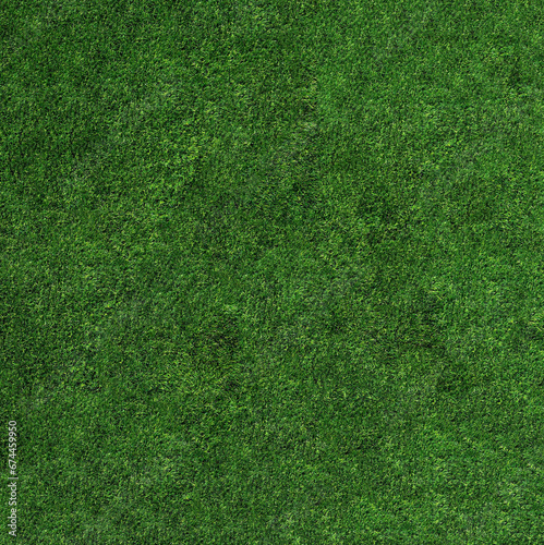 Close-up of neatly trimmed green grass top view